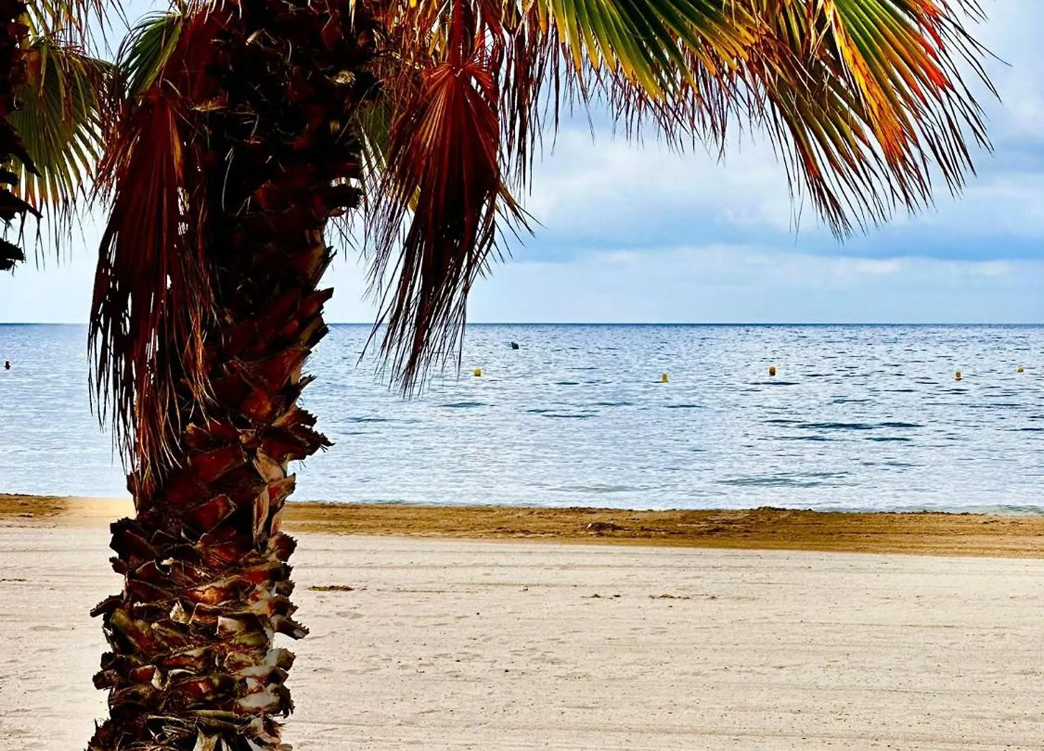 Amatista Y Vista Playa Apartment Salou 0*,